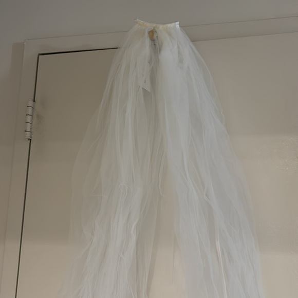 Veil - Picture 3 of 4